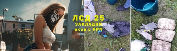 ПСИЛОЦИБИНОВЫЕ ГРИБЫ Алексеевка