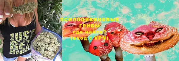 не бодяженный Аркадак