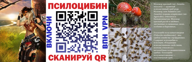наркошоп  Рыльск  Псилоцибиновые грибы прущие грибы 